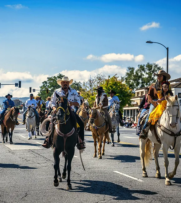 Horses and riders in the Conejo Valley Parade